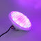 Energiesparende Birne RGBW-Farbe48w LED PAR56