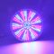 RGB Mehrfarben-AC230V 35W Pentair Hayward Light Fixture
